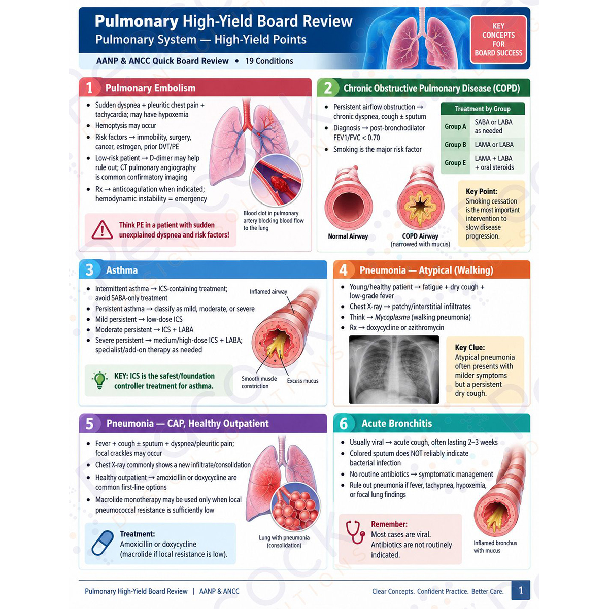 Numbered infographic explaining how the heart pumps blood